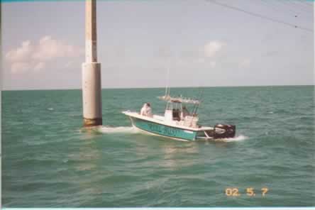 tarpon fishing
