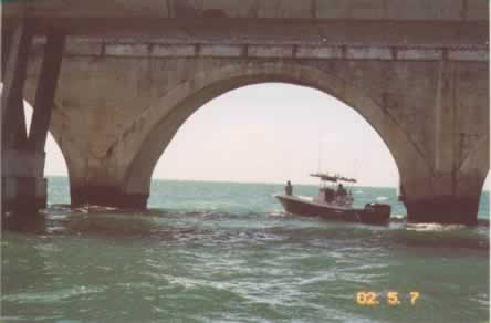 tarpon fishing