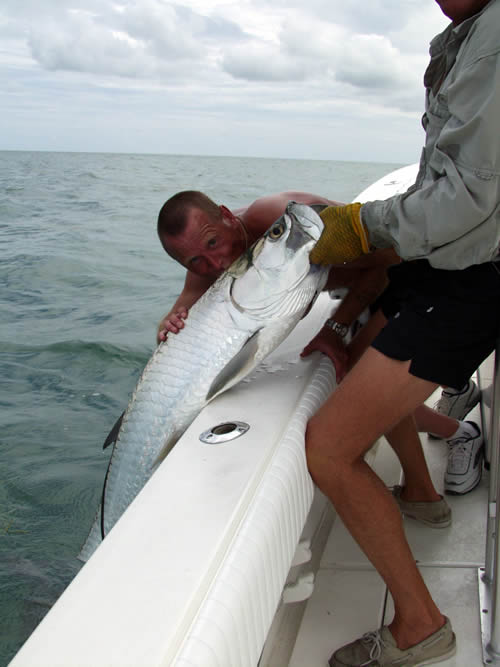 tarpon fishing