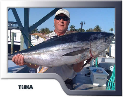 tuna