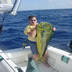 florida keys dolphin