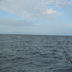 november sailfish fishing