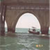 inland tarpon fishing