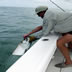 tarpon fishing florida keys