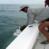 islamorada tarpon fishing