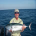 Bonito