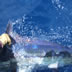 marlin