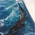 sailfish islamorada