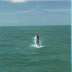 tarpon fishing