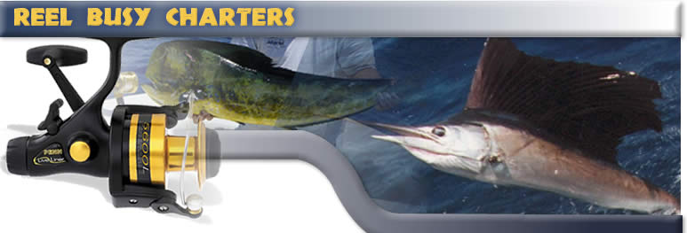 Reel Busy Charters - Islamorda Fishing