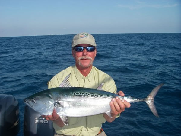 bonito